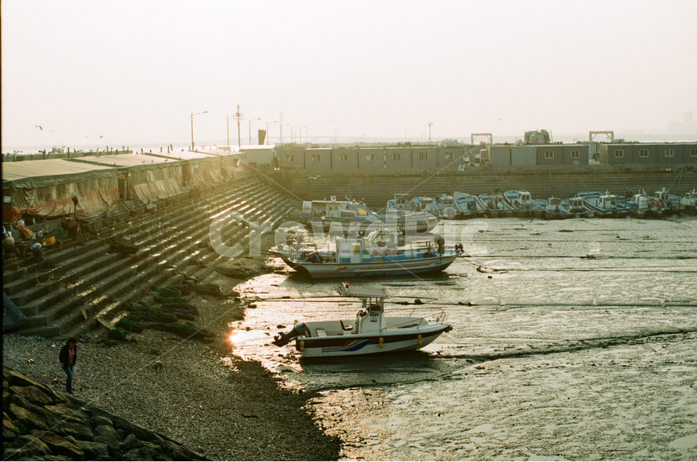 풍경,바다,일몰,배,필름,휴식,힐링,rest,relaxation,healing,산업,industry,industrial,어업,fishery,fishing industry