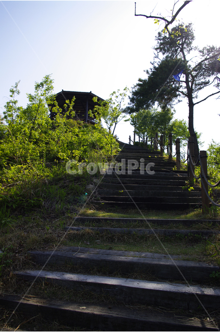 숲길,길,계단,나무,숲,자연,tree,수목원,자연,풍경,nature,landscape,outdoors,옥외,garden,정원,arbour,정자,staircase
