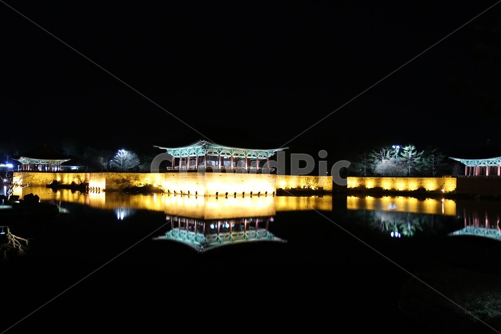 경주,안압지,벚꽃,야경,봄,밤,야경,밤,풍경,nightscape,night,landscape,랜드마크,landmark,tourist attraction,한국랜드마크,한국관광지,한국명소,korea landmark,korea tourist attraction,건축물,건물외관,exterior,building,structure,architecture,construction,건물