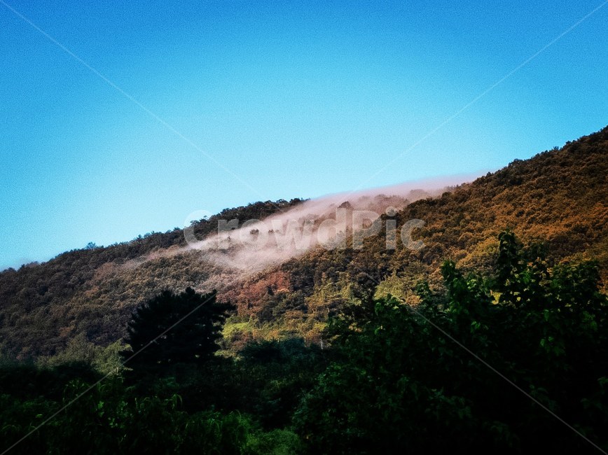 slope,경사,nature,자연,옥외,안개