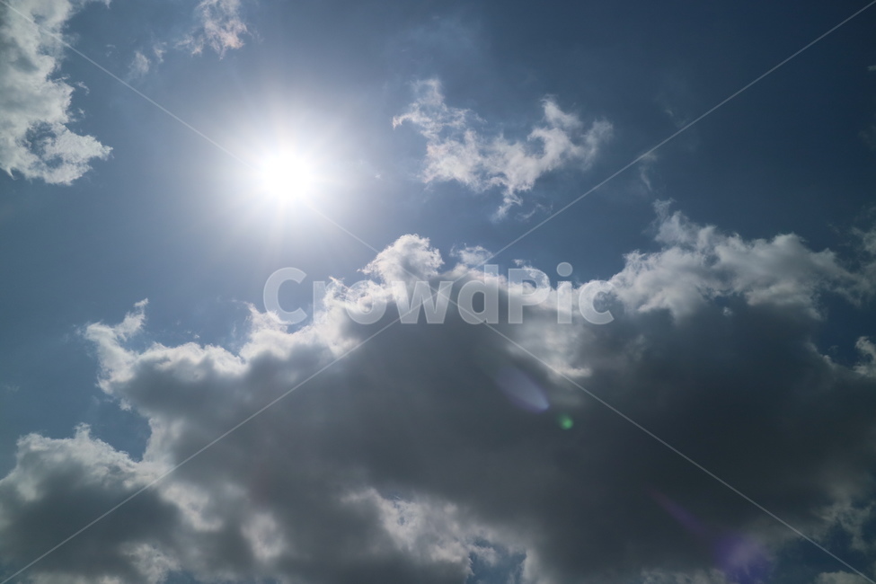 light,빛,flare,플레어,sunlight