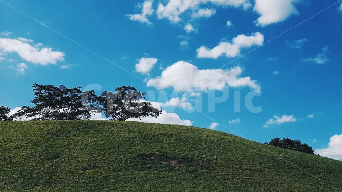 하늘,구름,언덕,나무,화창,맑은날,자연,풍경,nature,landscape,field,들,outdoors,옥외,grassland,목초지