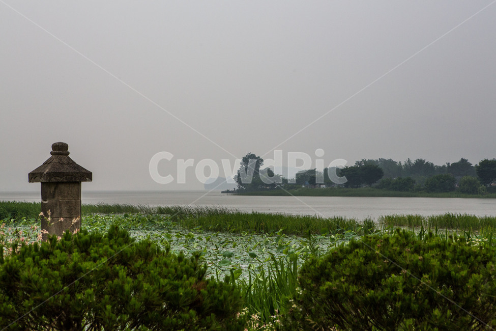 두물머리,호수,풍경,관광명소,감성,자연,풍경,nature,landscape,한국자연풍경,한국자연경관,korea nature landscape,land,땅,outdoors,옥외,water,물