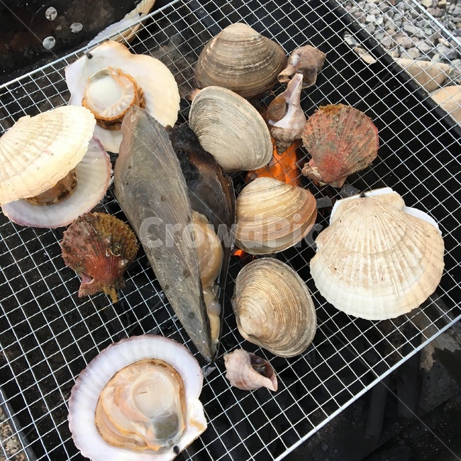 조개구이,대합,조개요리,요리,조개,clam,food