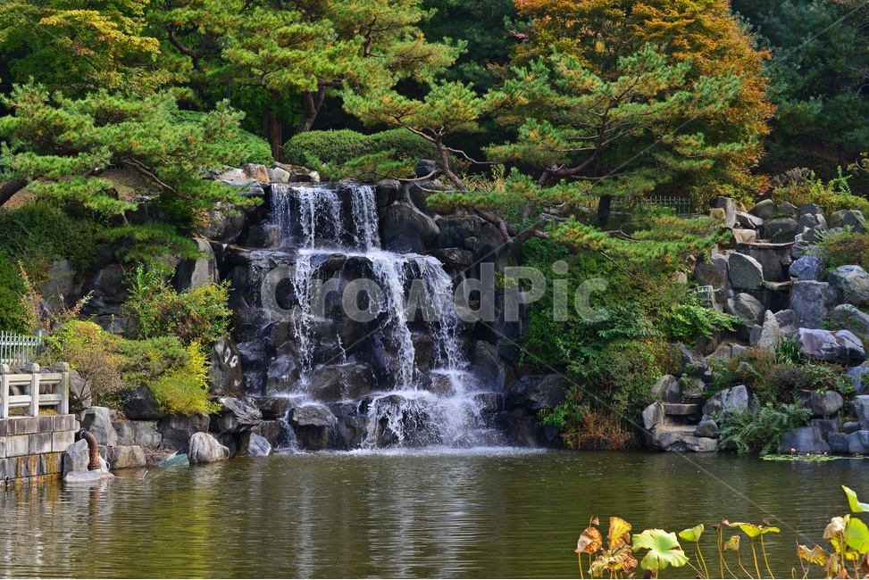 대전,국립대전현충원,현충원,현충지,연못,nature,자연,outdoors,옥외,leaf,잎,plant,식물,tree,나무,소풍,가을,계절,추색,추경,경치,경관,풍경,water,물,정자,현충지반영