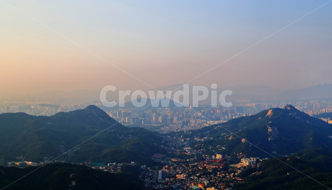남산,도심,탑,아침,서울도심,서울시내,서울