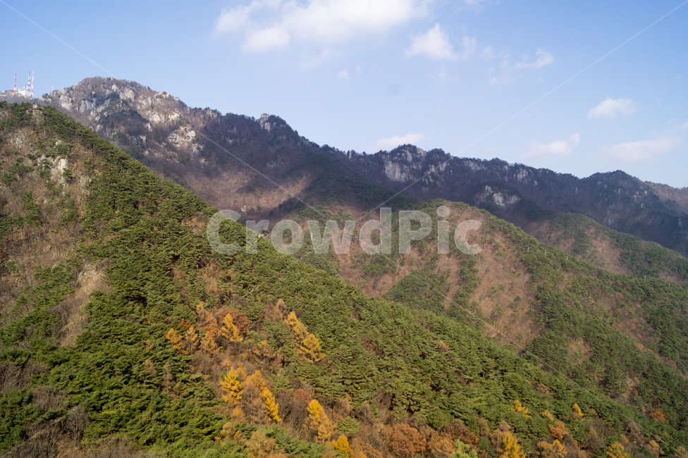 팔공산,하늘,나무,단풍,숲,산,자연,풍경,nature,landscape,outdoors,옥외,slope,경사,hill,언덕