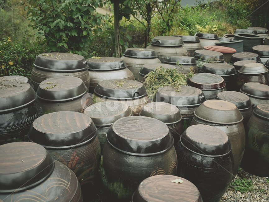 장독대,전통,항아리,풍경,감성,한국전통,한국문화,한국전통,한국문화,korean traditional,korean culture