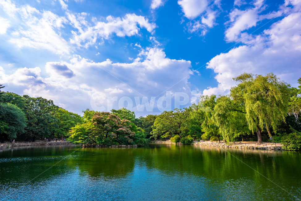 창경궁,궁전,전통,조선시대,건물,호수,춘당지,자연,풍경,nature,landscape