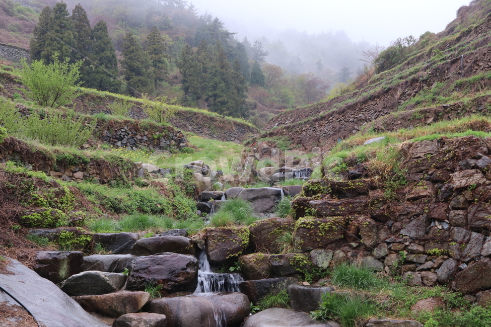 냇물,작은폭포,자연,안개,돌담,smallwaterfall,stonefence,stream,nature