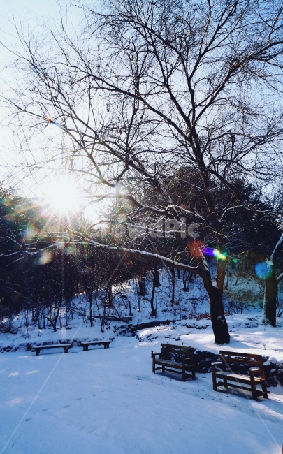 햇빛,빛갈라짐,의자,눈,겨울,휴식,겨울,계절,winter,season,자연,풍경,nature,landscape,flare,플레어,light,빛,bench,벤치