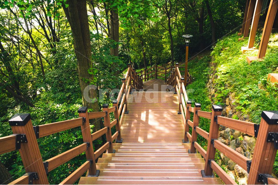 부산,용두산공원,남포동,공원,산,나무,다리,자연,산책,관광지,여름,busan,park,mountain,tree,wood,bridge,nature,walk,summer,자연,풍경,nature,landscape,garden,정원,outdoors,옥외,arbour,정자
