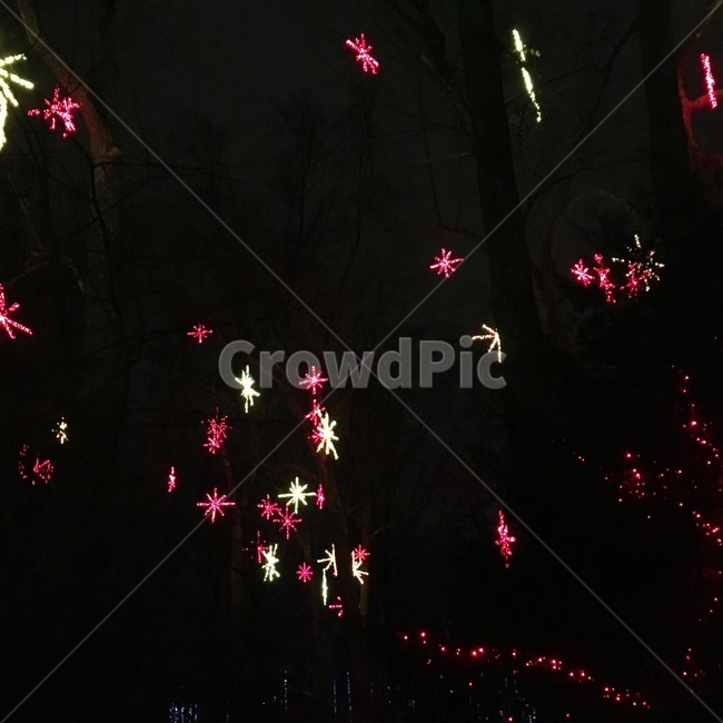 크리스마스,겨울,조명,불빛,장식,눈,눈모양,light,snow,성탄절,감성,christmas,winter,야경,밤,풍경,nightscape,night,landscape