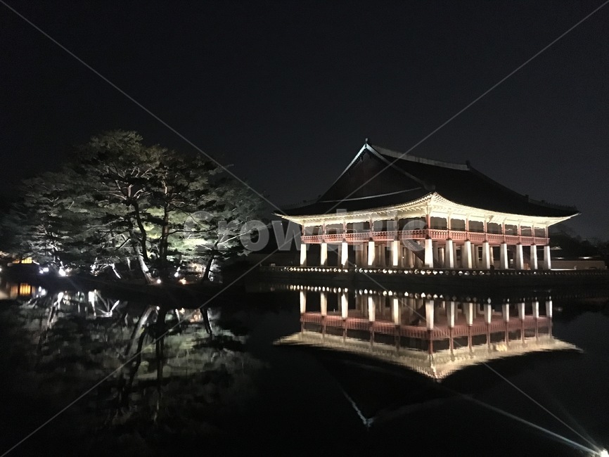 야경,야간개장,경복궁,궁,한국