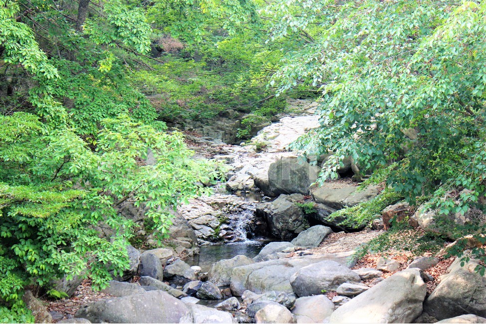 계곡,자연,나무,아웃도어,산행,nature,tree,outdoor,mountain,자연,풍경,nature,landscape,water,물,outdoors,옥외,stream,흐름,creek,작은 만