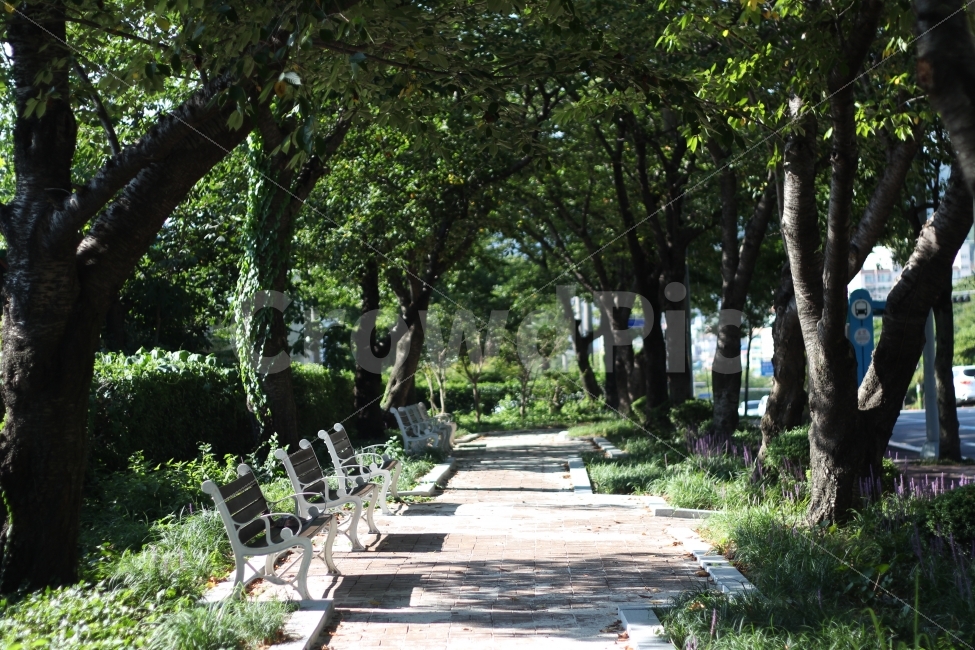자연,감성,감성사진,의자,휴식,자연,풍경,nature,landscape,휴식,힐링,rest,relaxation,healing,outdoors,옥외,garden,정원,arbour,정자,flagstone,판석,bench,벤치