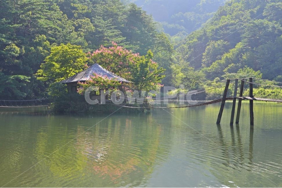 water,물,nature,자연,outdoors,옥외,순천,일일레져타운,배롱나무,배롱나무꽃,반영,저수지,자연,풍경,nature,landscape