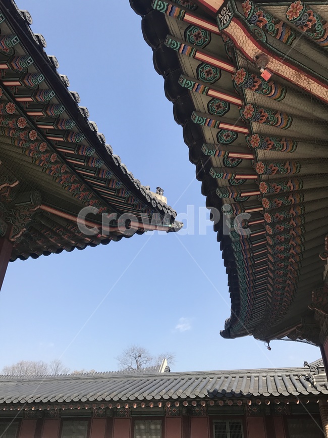 경복궁,광화문,처마,한옥,하늘,한국전통,한국문화,korean traditional,korean culture,랜드마크,landmark,tourist attraction,한국랜드마크,한국관광지,한국명소,korea landmark,korea tourist attraction,건축물,건물외관,exterior,building,structure,architecture,construction
