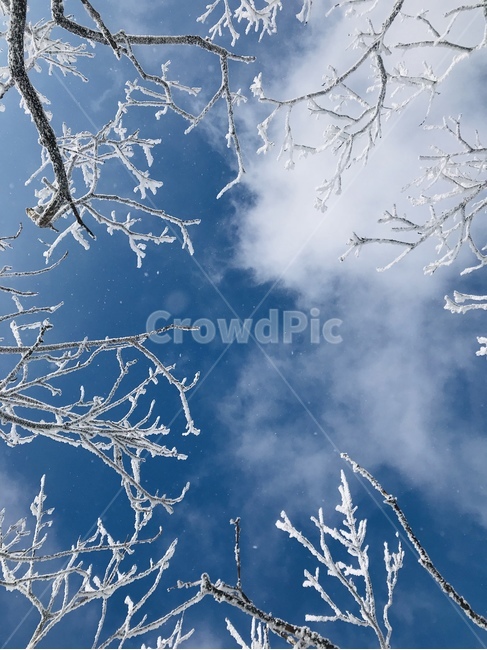 눈,자연,nature,snow,겨울,겨울왕국,하늘,겨울,계절,winter,season