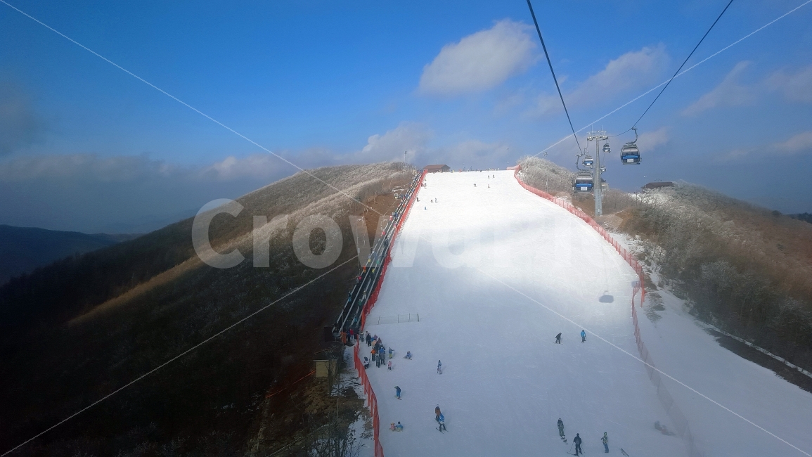 스키장,스키,보드,곤돌라,눈,눈꽃,겨울,겨울,계절,winter,season,자연,풍경,nature,landscape,한국자연풍경,한국자연경관,korea nature landscape,스포츠,레저,운동,sports,leisure,exercise,outdoors,옥외