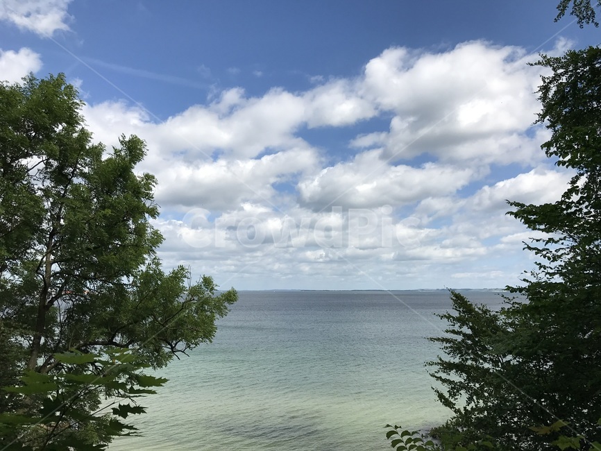 구름,바다,하늘,나무,파도,sky,cloud,wave,sea,tree,자연,풍경,nature,landscape,plant,식물,fir,전나무
