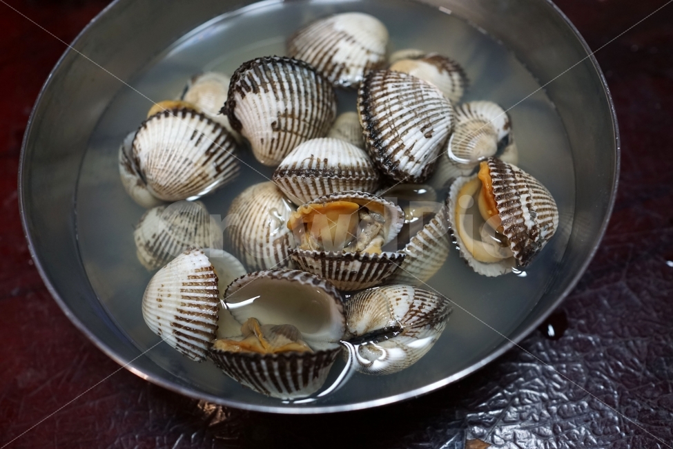 조개,해물,해산물,국물,수산물,음식,반찬,요리,식사,그릇,cook,레시피,사물,물건,오브젝트,object,맛있는,맛있다,맛있게,일상,meal,food,seafood,씨푸드,안주,술안주,맑은국물,조개탕,식품,식료품,주방,주방용품,부엌,부엌용품,시원하다,시원한,식재료,식자재,vegetable,농작물,농산물,먹거리,먹을거리,먹을거,먹을것,음식,식재료,요리,food,cook,meal,dishes,food reserves,수산물,해산물,fishery products,seafood