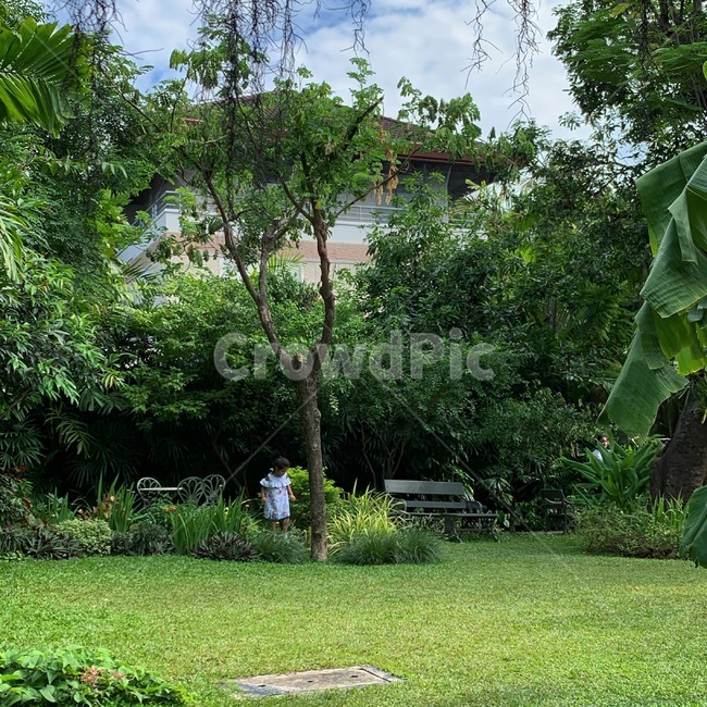 plant,식물,grass,잔디,옥외,human,인간,outdoors,자연,풍경,nature,landscape,사람,인물,인간,human,person,어린이,어린아이,child,children,kid