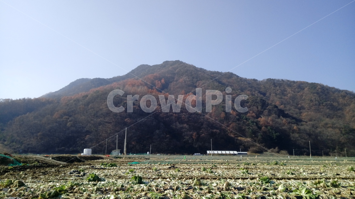 산,자연,배경,가을,산맥