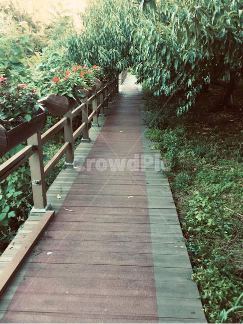 arbour,정자,outdoors,옥외,garden,정원