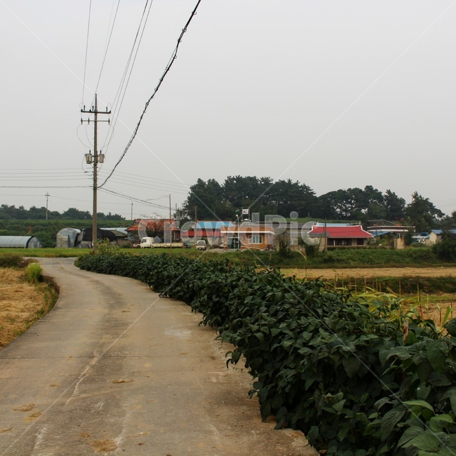 시골,시골동네,시골집,시골풍경,풍경사진,시골,마을,풍경,landscape,country,rural,town