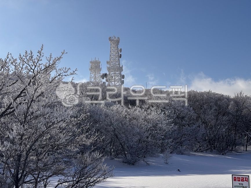 Snow scenery,snow flowers,Mt. Halla,Jeju,winter,1100m high