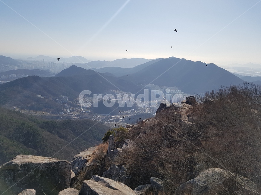 산,자연,금정산,나무,바위,mountain,trees,rock,outdoors,바위산,rockymountain,새,새떼,birds,flockofbirds