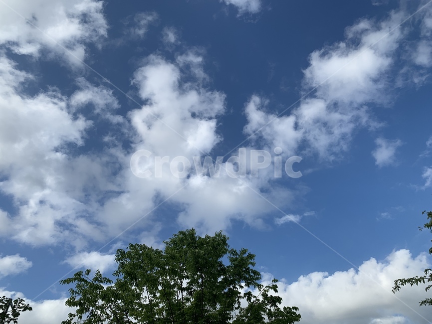 뭉게구름,푸른하늘,하늘,구름,sky