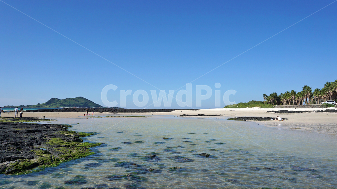 제주,제주도,바다,해변,협재해수욕장,풍경,자연,landscape,beach,sea,jeju,자연,풍경,nature,landscape,해변,바다,beach,sea,제주도,jeju,jeju island,사람들,대중,군중,other people,crowd,outdoors,옥외,land,땅,shoreline,해안선,water,물,ocean,대양,coast,연안,human,인간,person,사람
