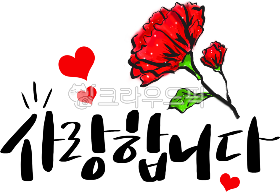 Love,calligraphy,calli,I love you,carnation,flower,pretty writing,letter,parent's day,special day,teacher's day,birthday