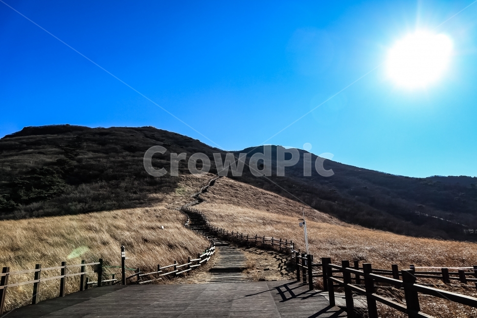 억새평원,신불산,간월재,영남알프스,등산,풍경,산,울산,울주군,자연,풍경,nature,landscape,한국자연풍경,한국자연경관,korea nature landscape,outdoors,옥외