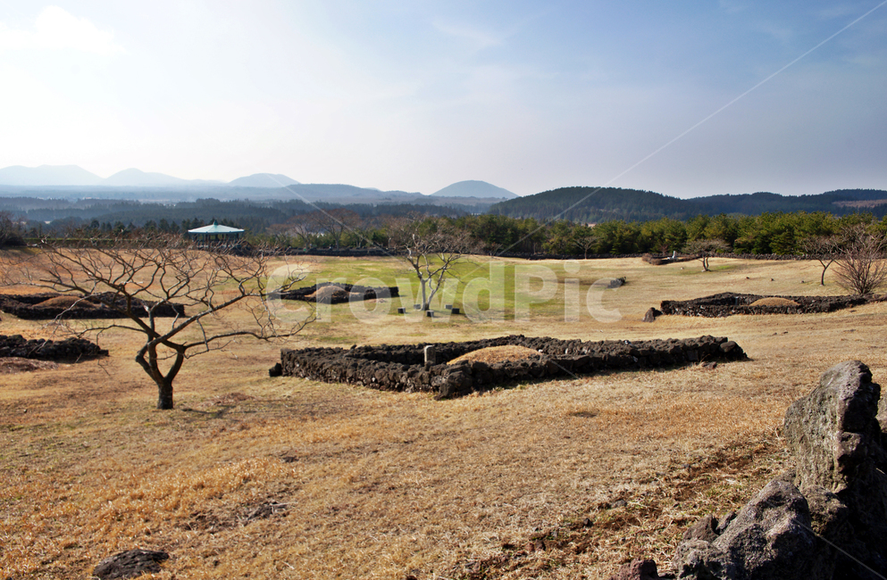 산굼부리,제주,관광지,천연기념물제263호,굼부리,마르,무덤,자연,풍경,nature,landscape,한국자연풍경,한국자연경관,korea nature landscape,제주도,jeju,jeju island,ground,바닥,outdoors,옥외,soil,흙