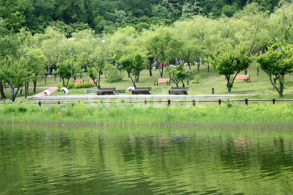 북서울꿈의숲,공원,한국,서울,정원,그린,녹색,초록색,잔디,풀,낮,자연,반영,물,호수,연못,강,강가,생태공원,생태정원,벤치,산책로,산책길,물가,호숫가,숲,산,의자,물결,나무,울타리,자연,풍경,nature,landscape,water,bench,outdoors,옥외