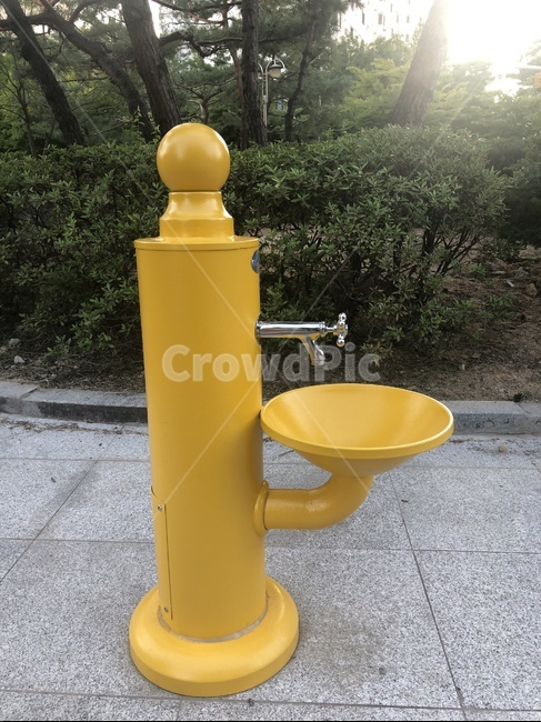 수도,수돗가,수도꼭지,노란색수도,세면대,식수도,식수관