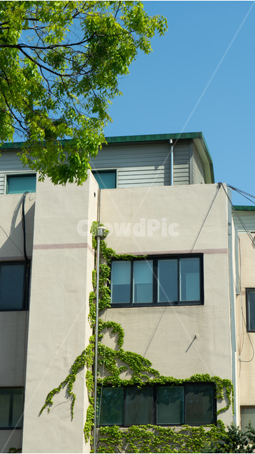 건물,건축,여름,식물,청량,건축물,건물외관,exterior,building,structure,architecture,construction