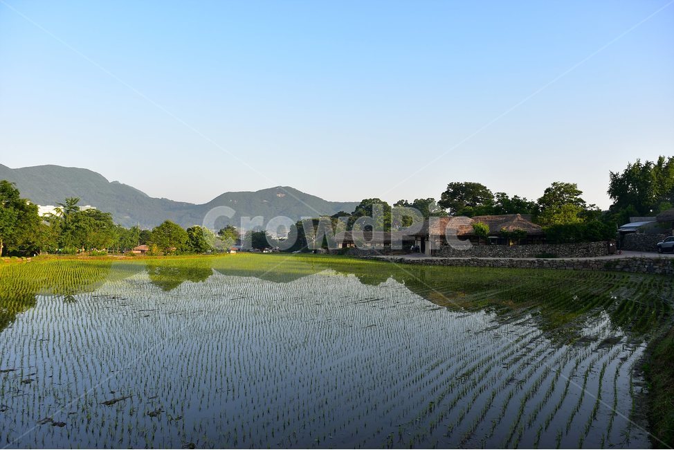 외암,민속,마을,풍경,힐링,논,햇살,landscape,시골,마을,풍경,landscape,country,rural,town,산업,industry,industrial,농업,농사,agriculture,farming,farming industry