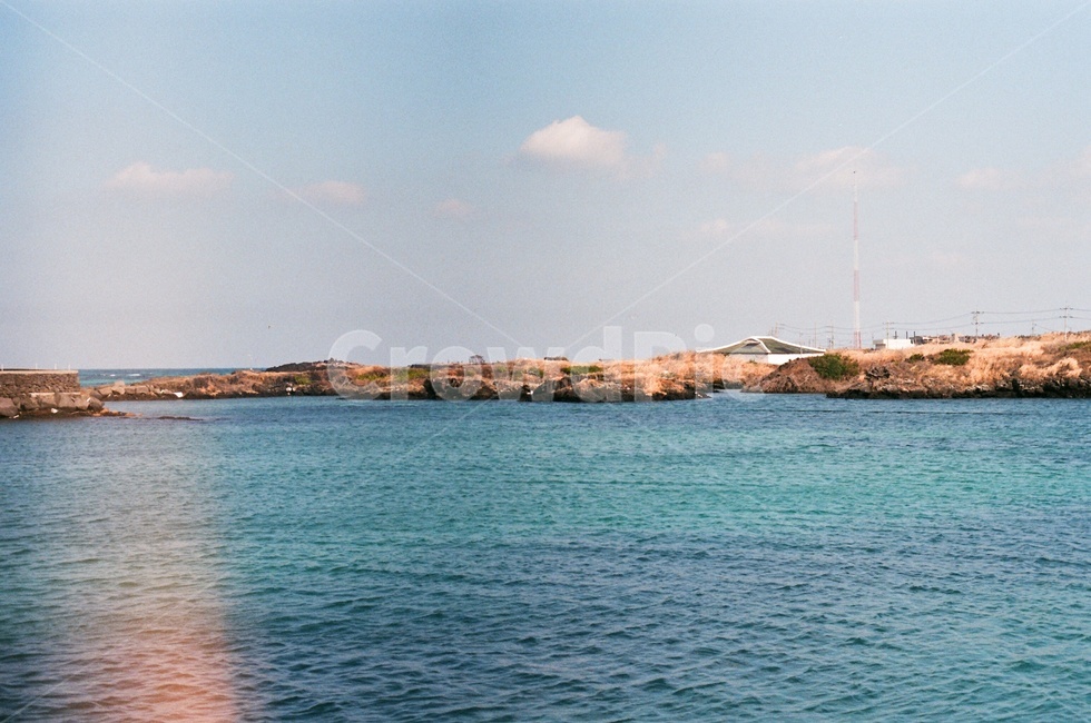 제주도,사려니숲길,jeju,나무,겨울,제주겨울,숲길,산책로,자연,풍경,nature,landscape,building,건물,architecture,건축물,tower,탑,land,땅,outdoors,옥외