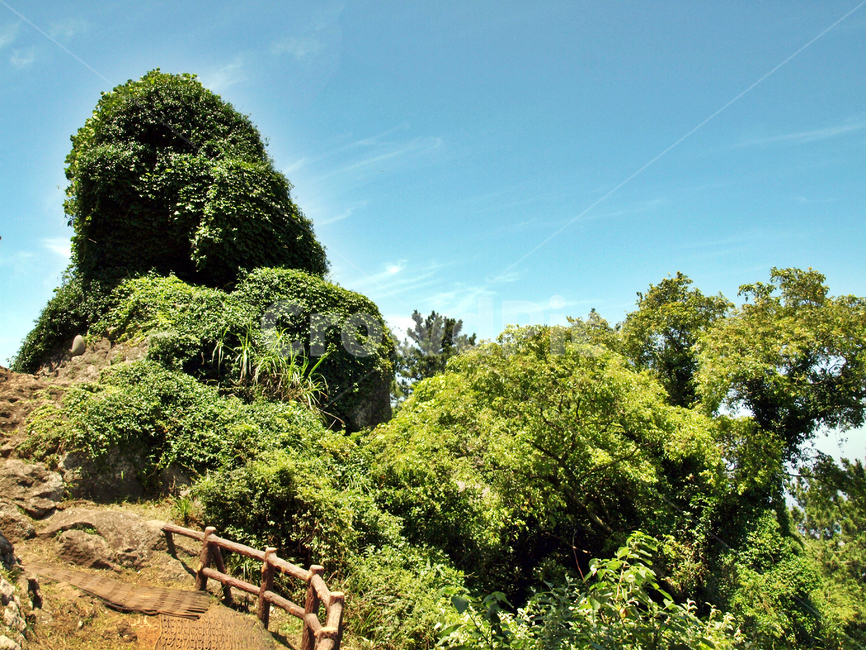 애기업은돌,제주,올레18코스,올레길,전설,사라봉,자연,풍경,nature,landscape,vegetation,초목,plant,식물,bush,부시,outdoors,옥외