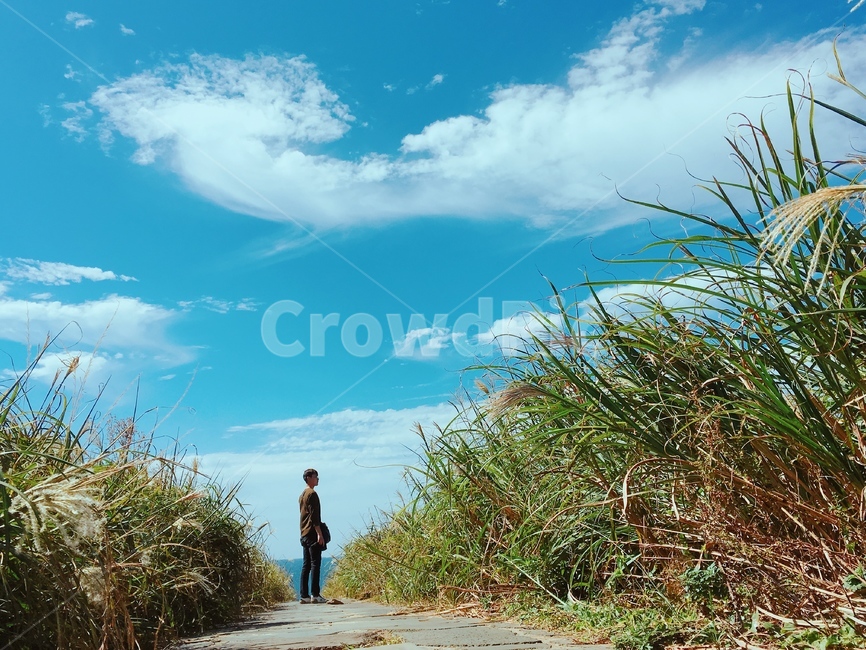 제주도,언덕,옆모습,하늘,풀,자연,풍경,nature,landscape