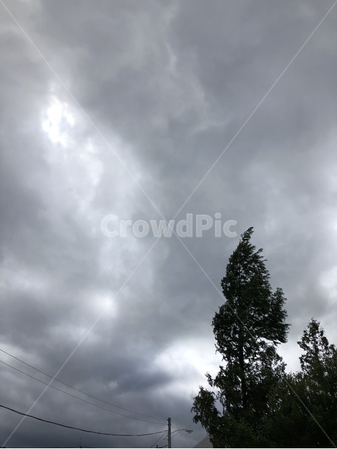 하늘,구름,태풍전야,먹구름,바람,자연,풍경,nature,landscape,weather,날씨,tree,나무,plant,식물