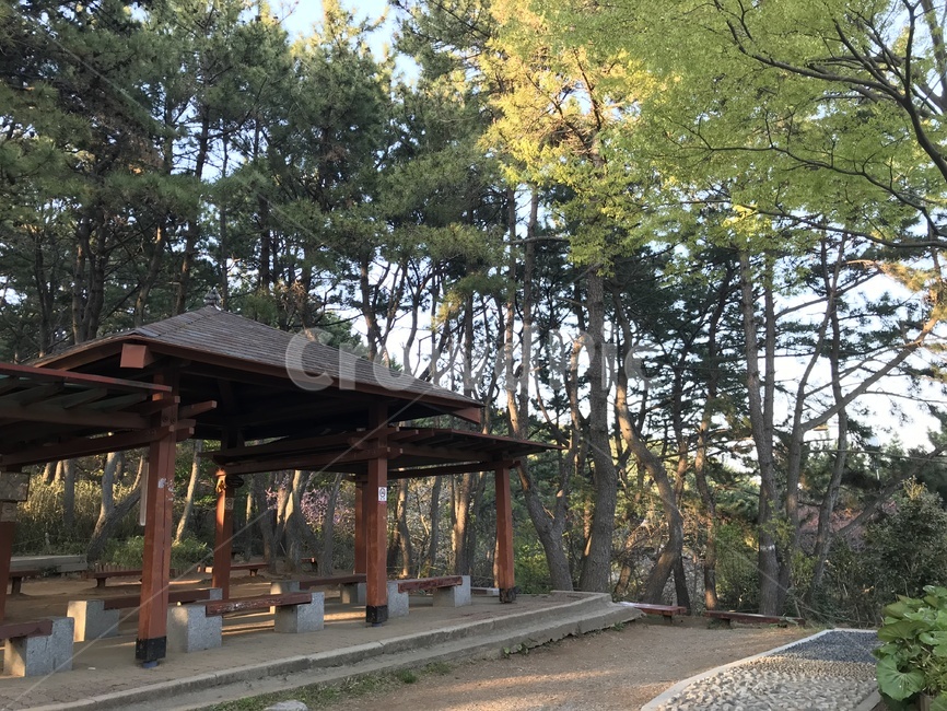 공원,정자,등산,산,나무,상쾌,등산로,쉽터