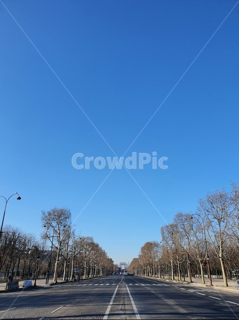 프랑스,파리,개선문,도로,jardindestuileries