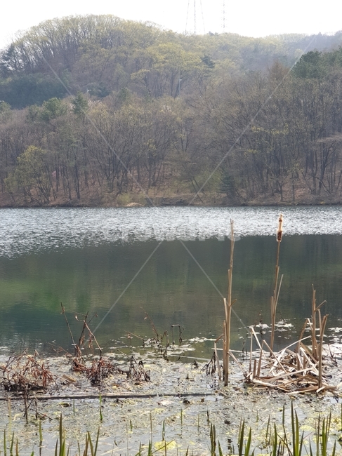 water,물,nature,자연,outdoors,옥외,land,나라,봄,야외,싱그러움,물반영