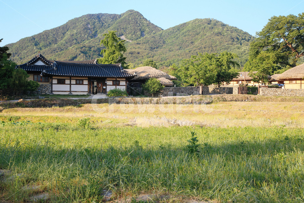 시골,전통,풍경,논,밭,한국,시골,마을,풍경,landscape,country,rural,town