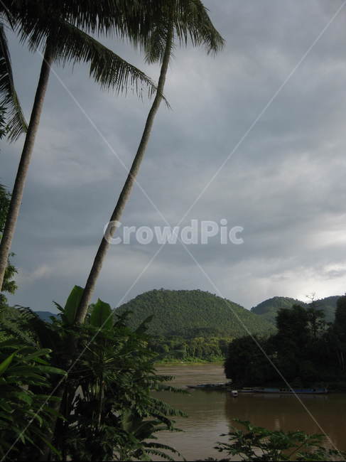 동남아,outdoors,옥외,nature,자연,야자수,강,메콩강,산맥,palmtree,brown